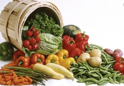 上海寶山至天津專業冷鏈配送服務指南，助力餐飲企業高效運營