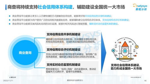 透視用戶需求深挖服務(wù)潛力 2022中國(guó)商業(yè)查詢(xún)行業(yè)洞察